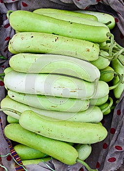 Indian vegetable-bottle gourd