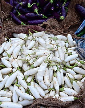 Indian vegetable- White Brinjal