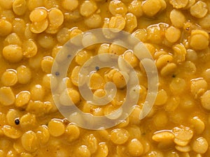 Indian vegetarian dahl curry food background photo