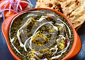 Indian vegetarian meal - palak paneer and roti