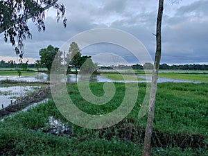 Indian village beautiful scenery with cloudy sky