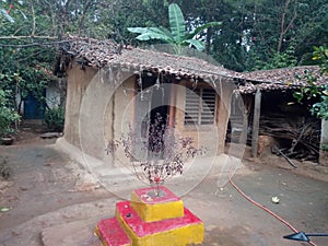 Indian village house in odisha state and other trees