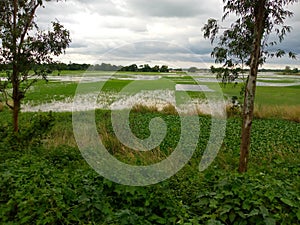 Indian village rural beautiful scenery with cloudy sky in rainy season