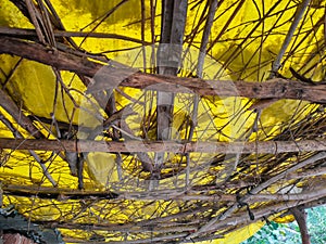 Indian village shop roof making by bamboo