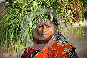 Indian villager woman carrying green grass