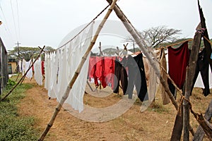 Indian Washing Dhobis