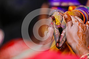 Indian wedding ceremony: bridal hand in haldi ceremony