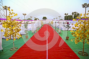 Indian wedding ceremony :Decoration with lighting and flower