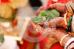 Indian wedding  photography ,groom and bride hands