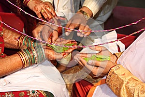 Indian Wedding Ritual