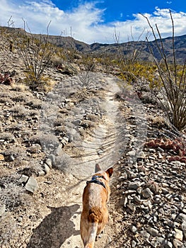 Indian Wells Trail in Alamogordo, New Mexico