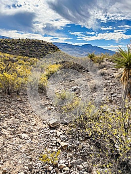 Indian Wells Trail in Alamogordo, New Mexico