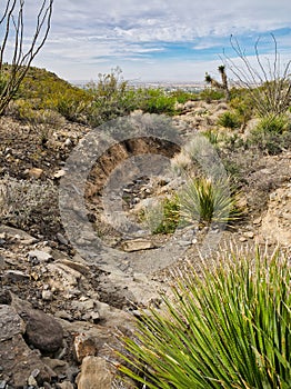 Indian Wells Trail in Alamogordo, New Mexico photo