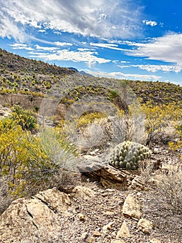 Indian Wells Trail in Alamogordo, New Mexico photo