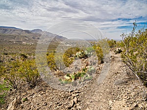 Indian Wells Trail in Alamogordo, New Mexico photo