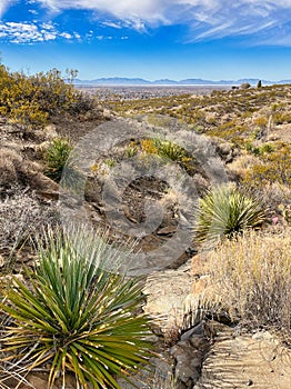Indian Wells Trail in Alamogordo, New Mexico photo