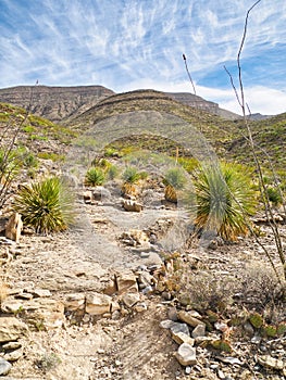 Sacramento Mountains along Indian Wells Trail in Alamogordo, New Mexico photo