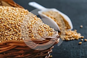 Indian wheat grains and wheat flour