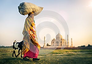 Indian Woman Carrying on Head Goat Taj Mahal Concept