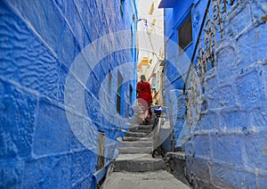 Blue houses in Jodhpur, India