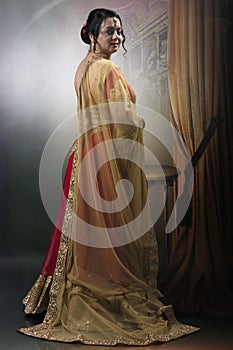 Indian woman in traditional ethnic wear