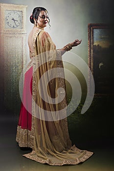 Indian woman in traditional ethnic wear