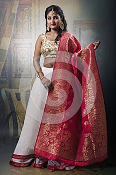 Indian woman in traditional ethnic wear