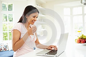 Indian Woman Using Laptop At Home photo