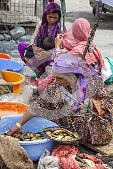 Indian woman working at fish street market in Srinagar, Jammu and Kashmir state, India