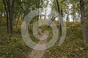 Indiana Dunes - Dune Ridge Trail