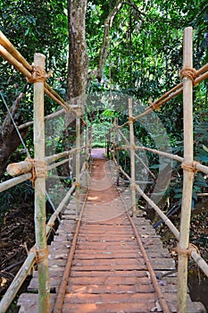 Indiana Johns's style hanging bridge