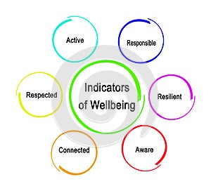 Indicators of Wellbeing for aged