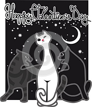 Indifferently and fighters cats, love confrontation postcard