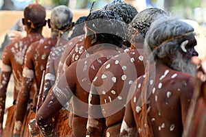 Indigenous Australians men on ceremonial dance in Laura Quinkan Dance Festival Cape York Australia