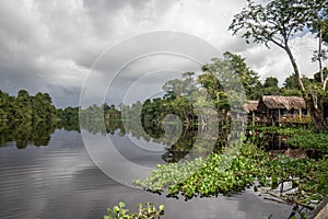 Indigenous community located on the banks of a river in the Orinoco Delta, Venezuela