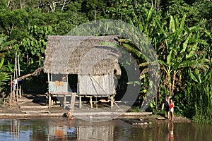 Indigenous House