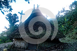 Indigenous house in lost city photo