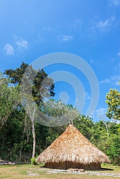 Indigenous Hut