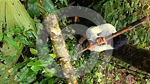 Indigenous Man Cutting A Fallen Tree With An Ax In The Amazon Rainforest