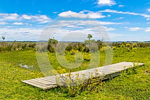 Indigenous Park, Maldonado Department, Uruguay photo