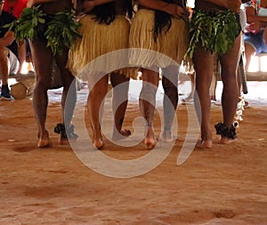 Indigenous show to tourists who visit their demonstration of tribe, habits and food. It`s a mini show of each thing