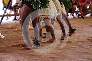 Indigenous show to tourists who visit their demonstration of tribe, habits and food. It`s a mini show of each thing