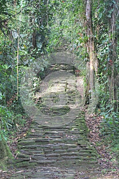 Indigenous stone stairs in Ciudad Perdida archeological site