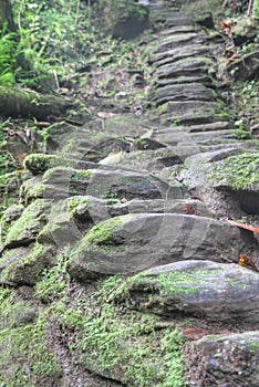 Indigenous stone stairs to Ciudad Perdida archeological site