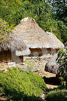 Indigenous town houses in Ciudad Perdida indigenous name Teyuna photo