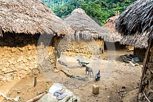 Indigenous Village photo