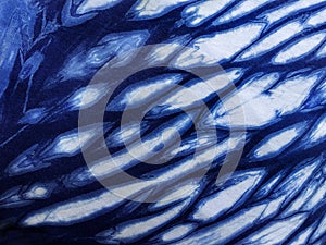 Indigo blue fabric tie dye pattern background.