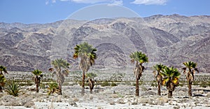 Indio Hills photo