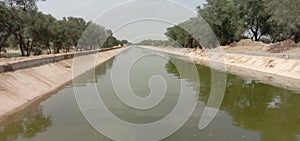 Indira Gandhi Main canal conjures a mirage of surplus water in Thar desert and hides reality of official photo photo
