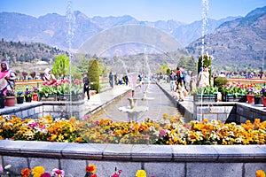 Indira Gandhi Memorial Tulip garden, previously Model Floriculture Center, is a tulip garden in Srinagar, Kashmir. It is the large